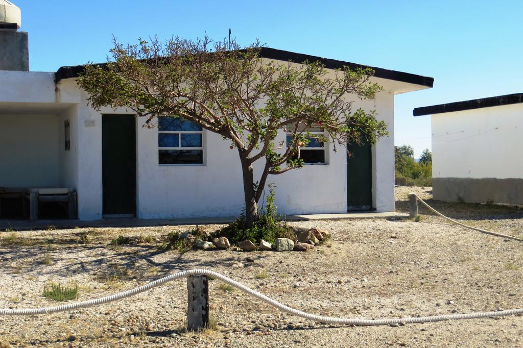 Bahia Bustamante Lodge Ruang foto